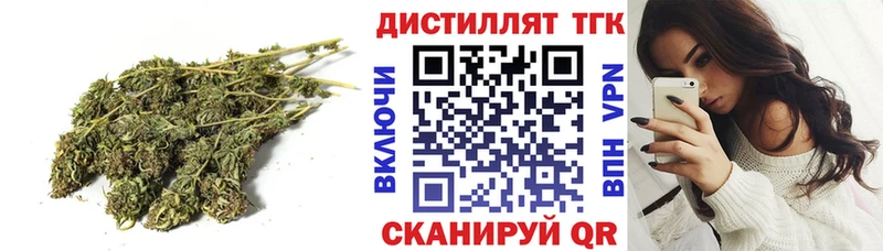 ТГК Wax  Купить где  Сегежа 